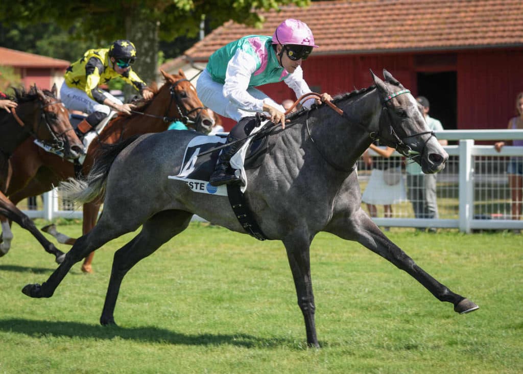 R1C6 PRIX LA SORELLINA MONT DE MARSAN