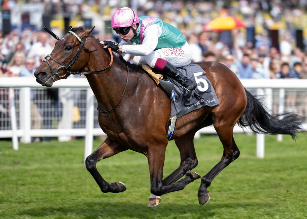 Newbury 12.4.25